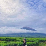 Elti Novita Sari profile icon