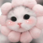 ลา กิ profile icon