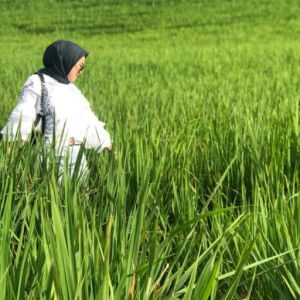 Kartika Via profile icon