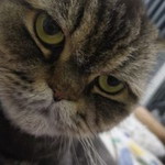 Mona Mona profile icon