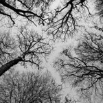 Eny Indaryani profile icon