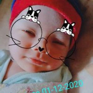 Cikal Bungsu profile icon