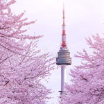 annisa eka profile icon