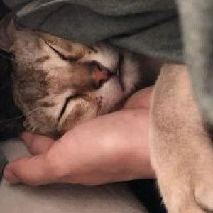 Waehanisah Doloh profile icon