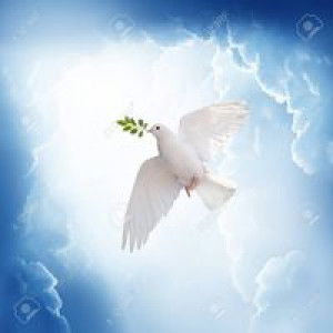 Ann Almazan Bautista profile icon