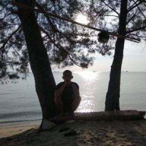 Vivi Rosalina profile icon