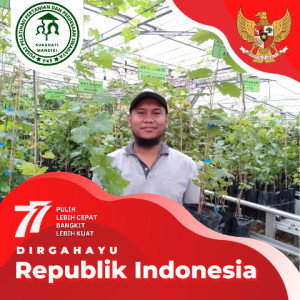 Mas Imam profile icon