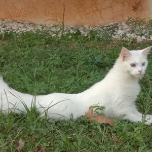 fitria handayani profile icon