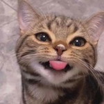 ไม่ใช่คนดี แต่ที่มีก็ไม่เลวฯ. profile icon
