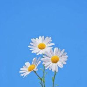 รตา ฯ. profile icon