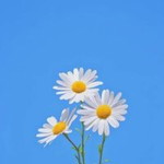 รตา ฯ. profile icon