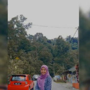 Ainur Husna profile icon