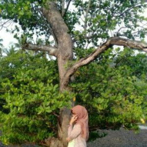 Syifa Irshad profile icon