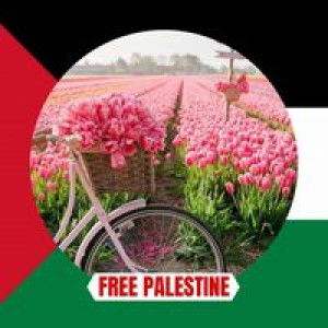 Emilia Sarah Abd Rahman profile icon