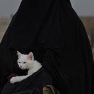 Ummu Royyan profile icon