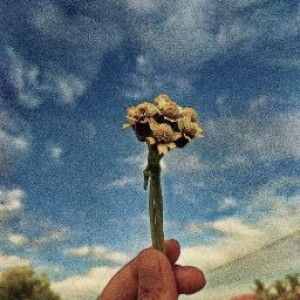 Mekar Pamuji Rahayu profile icon