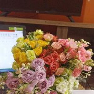 Hush Puppies profile icon