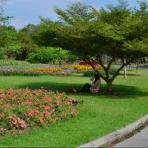 Suwitcha Koi Natika profile icon