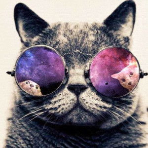 wanitamanis profile icon