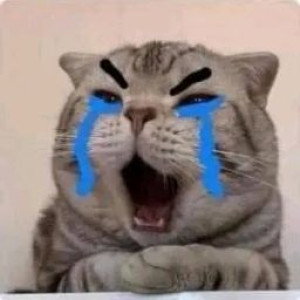 Ainun Dwi Safitri profile icon