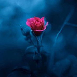 Yuni Irwanti profile icon