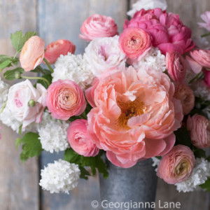 HimmaH AM profile icon