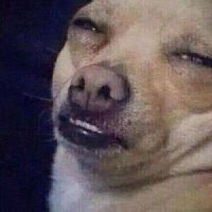 นก นฤมล. profile icon