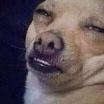 นก นฤมล. profile icon