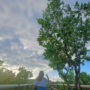 Maria Carmel Rejuso Lignes profile icon