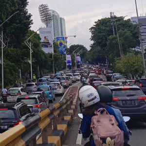 Novi Saumi profile icon