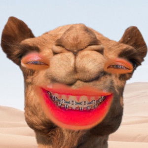 sudawantao sangtawan profile icon