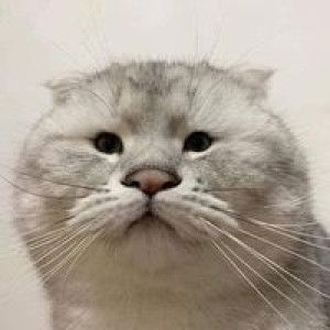 Mas Eireyqa profile icon