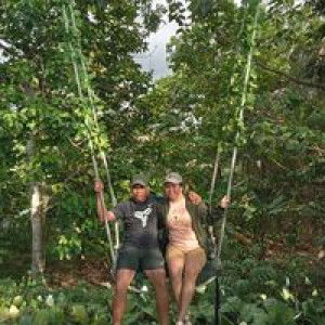 Sha Rie profile icon