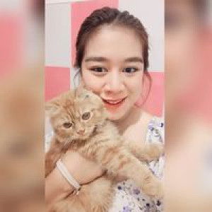 บีม ทัศนีย์ profile icon