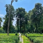 Jenjira Jannuan profile icon