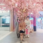 ลัดดา เรืองฤทธิ์ profile icon