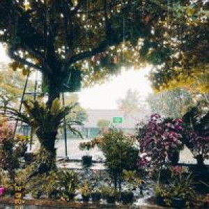 Annora Liebe profile icon