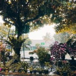 Annora Liebe profile icon