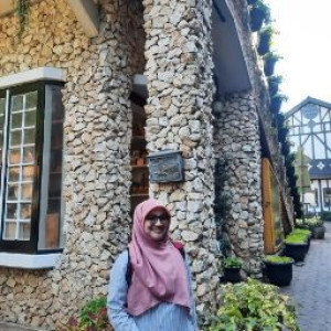 Nur Adliani profile icon