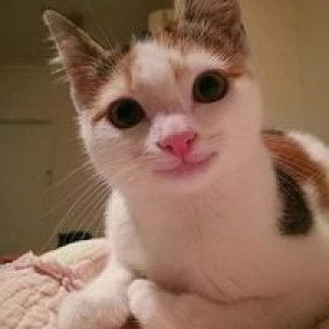 Adehayu Saputri profile icon