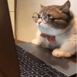 Lmyour Fah profile icon