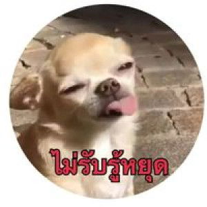 กนกพร จีนาวุฒิ profile icon