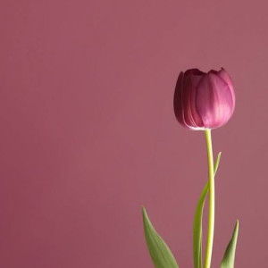 Mutiara profile icon