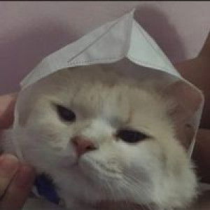 ณัฐณิชา profile icon