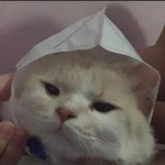 ณัฐณิชา profile icon