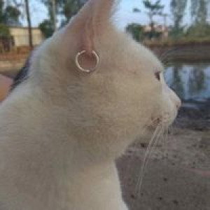 อ้วน'น ขวัญ profile icon