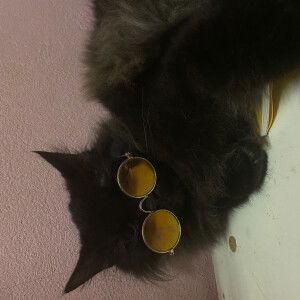 Mum5kids profile icon