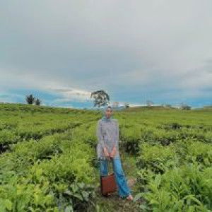 Dina Aulia Murfi profile icon