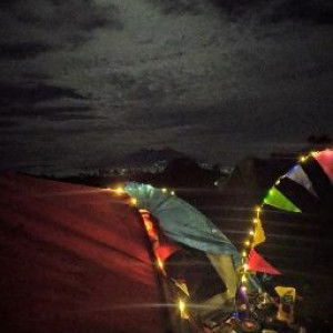 Anita Official profile icon