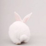 Farahin Aimy profile icon